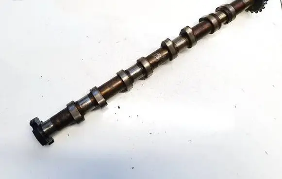 Audi A4 S4 B6 8E 8H Camshaft 8e0145708b