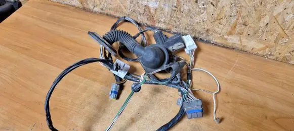 Peugeot 206 Front door wiring loom 9627043080