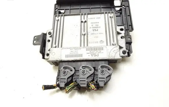 Engine control unit/module ECU