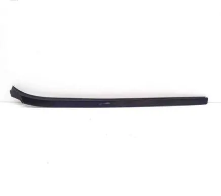 Windshield trim