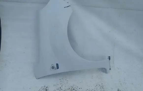 Renault Kangoo II Fender
