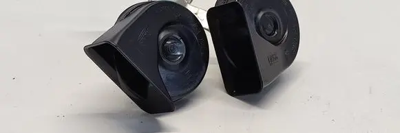 Horn signal