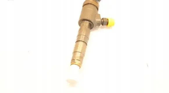 Peugeot Partner Fuel injector 0445110566