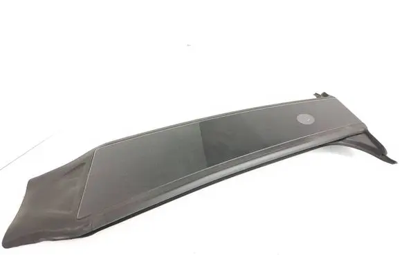 Tesla Model Y (B) Pillar trim (exterior) 15162550 1509518D AC21121