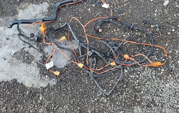 Volkswagen ID. Buzz Other wiring loom 1N3971398N 1N3970098DA