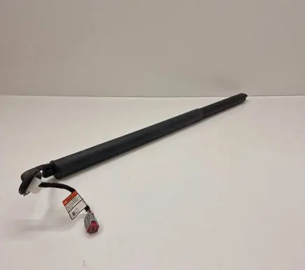 Ford Mustang Mach-E Tailgate strut LJ8BR402A54AD