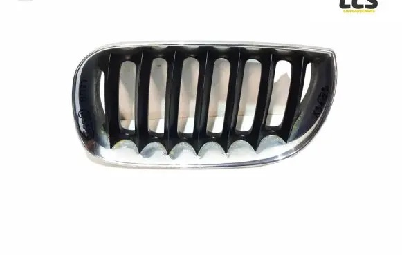 BMW X3 E83 Front bumper upper radiator grill 25891610 3402909 3414903