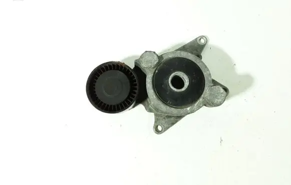 Toyota Verso Generator/alternator belt tensioner 166200R010