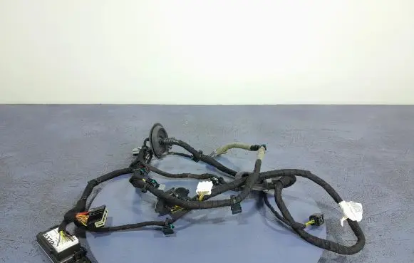 Volvo S90, V90 Other wiring loom 3145716