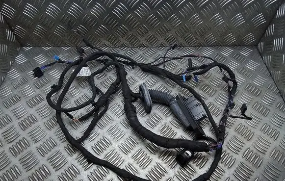 Front door wiring loom