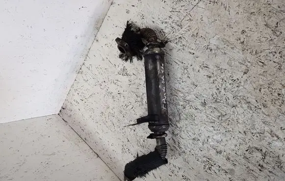 Fiat Punto (199) EGR valve cooler