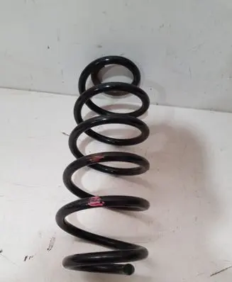 Renault Captur Rear coil spring 550201983R