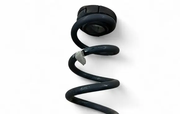 Rear coil spring