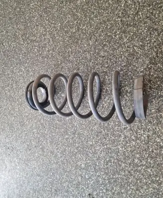 Smart ForFour I Rear coil spring