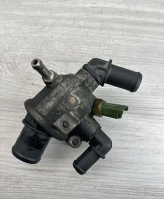 Thermostat/thermostat housing