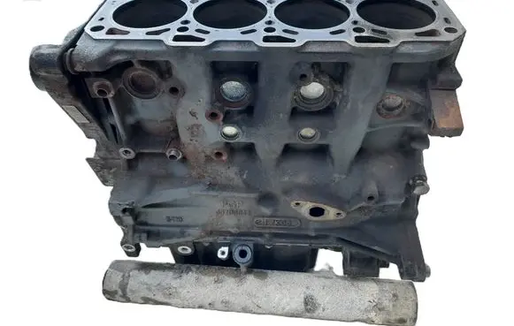 Opel Zafira B Engine block Z19DTL