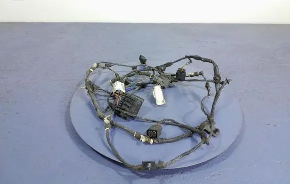 BMW X3 E83 Other wiring loom 8780836