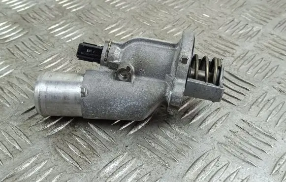 Thermostat/thermostat housing