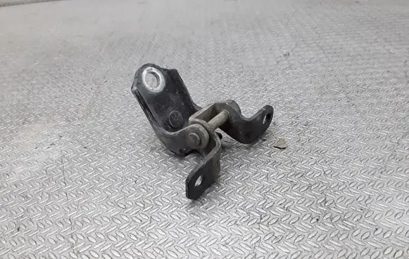 Ford Fiesta Rear door lower hinge
