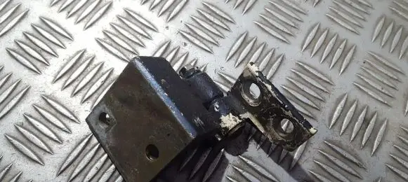 Peugeot 406 Rear door lower hinge