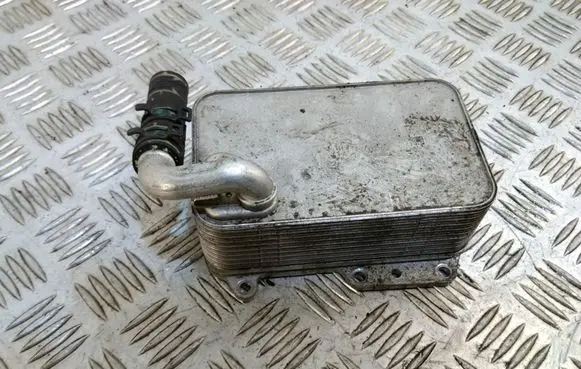 Oil filter mounting bracket