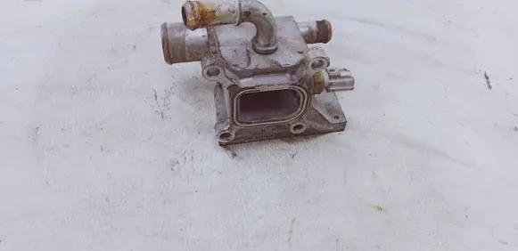 Thermostat/thermostat housing