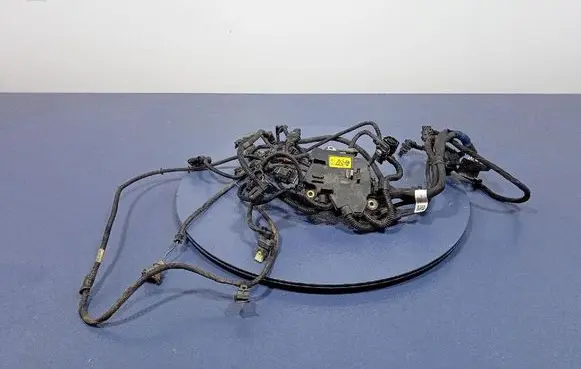 Other wiring loom