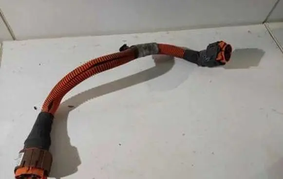 Renault Zoe Other wiring loom 290E10779R 770810578R