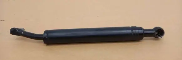 Tailgate strut
