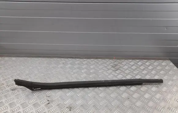 Ford F150 Other rear door trim element FL3Z1625596