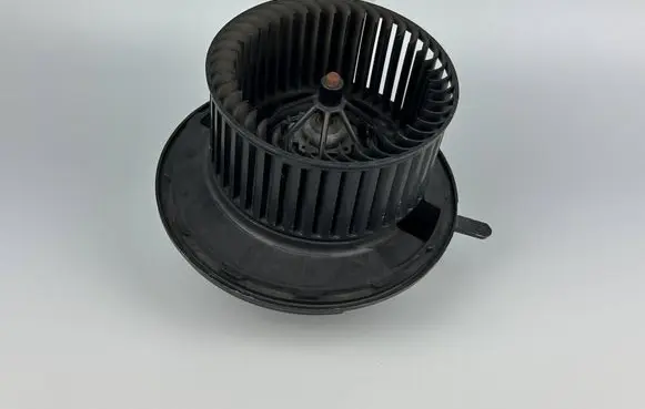 Mercedes-Benz A W169 Heater fan/blower A1698200642 982485P 0128067