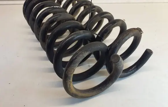 Rear coil spring