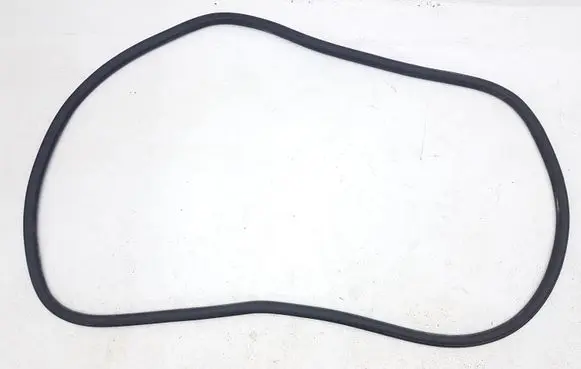 Ford Edge II Front door rubber seal