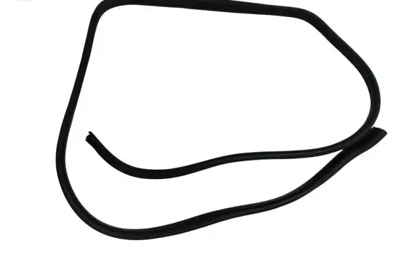 Rear door rubber seal (on body)