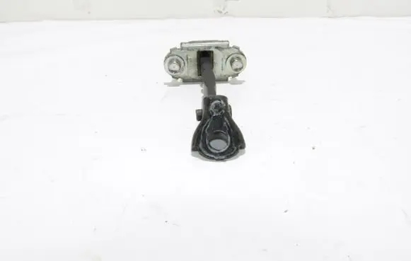 Honda Civic IX Front door check strap stopper Nėra