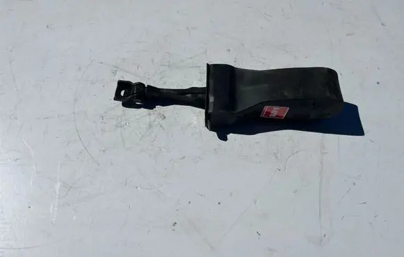 Volkswagen PASSAT B8 Front door check strap stopper 3G0837267