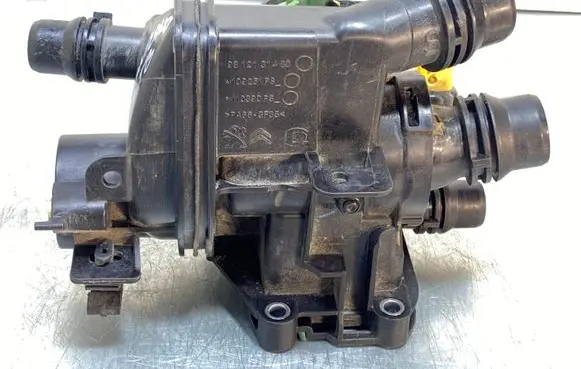 Thermostat/thermostat housing