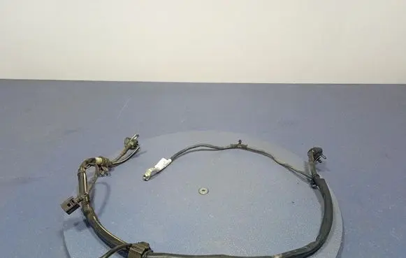 Other wiring loom