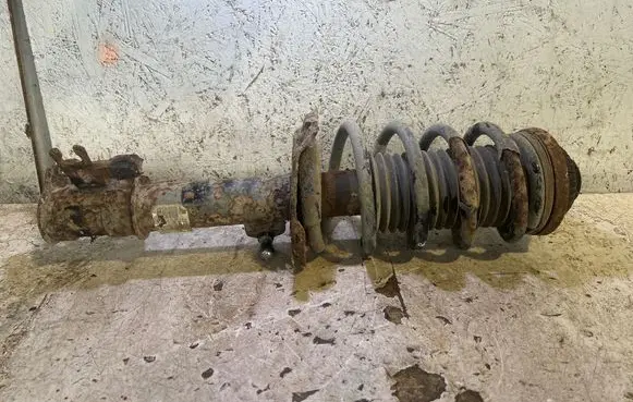Opel Zafira B Front shock absorber/damper 22231390 24466551 368135153
