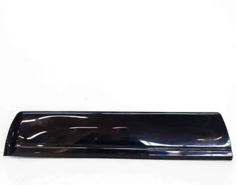 Mitsubishi Pajero Front door trim (molding) MN117284