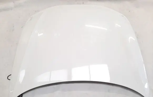 Engine bonnet/hood