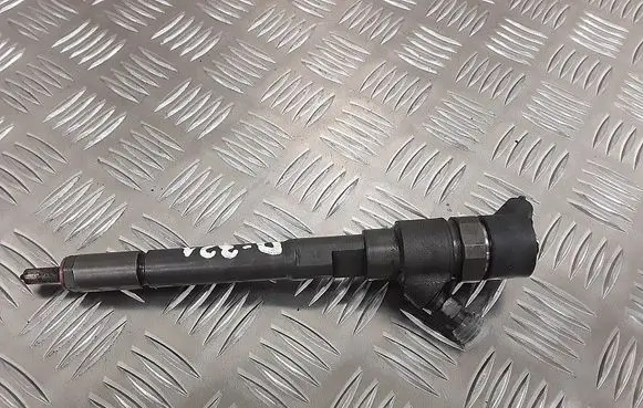 Hyundai Santa Fe Fuel injector 0445110253
