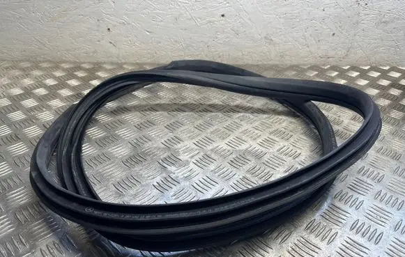 Mercedes-Benz CLS W257 Rear door rubber seal (on body) A2576922300