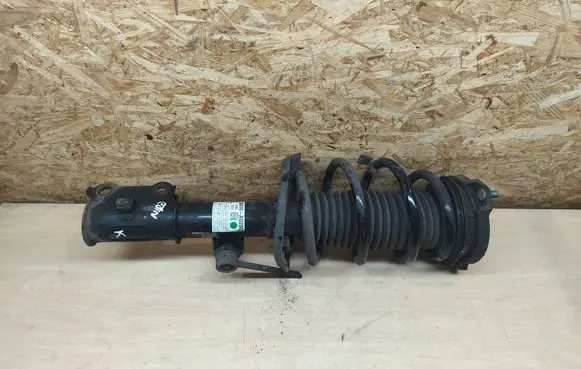 KIA Niro Front shock absorber with coil spring 54650A0200