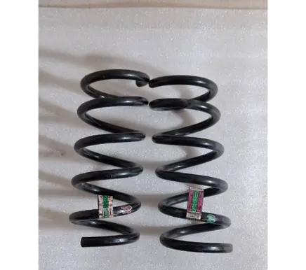 Ford Mustang VI Rear coil spring JR3C5B859UB JR3C5560UB