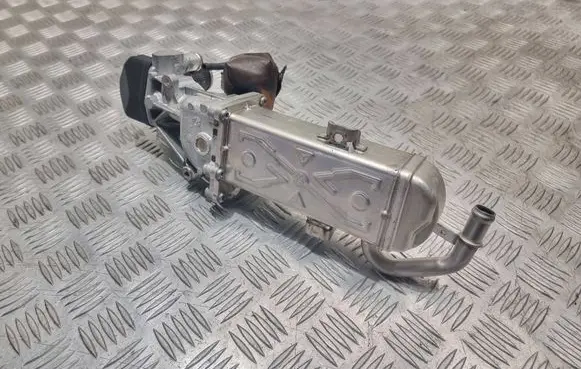EGR valve cooler