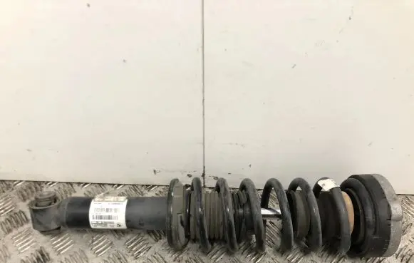 BMW X3 F25 Rear shock absorber/damper 6796317