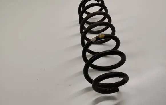 Rear coil spring