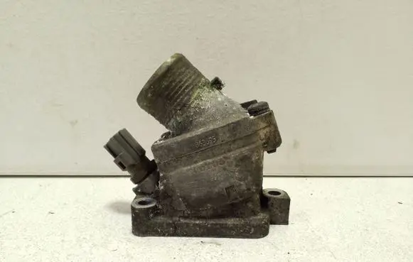 Thermostat/thermostat housing