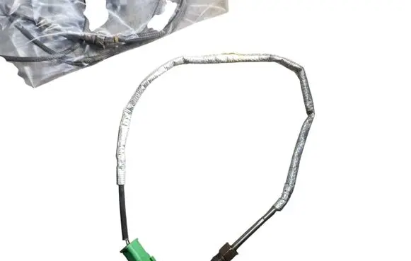 Ford S-MAX Exhaust gas temperature sensor E1GQ12B591AC